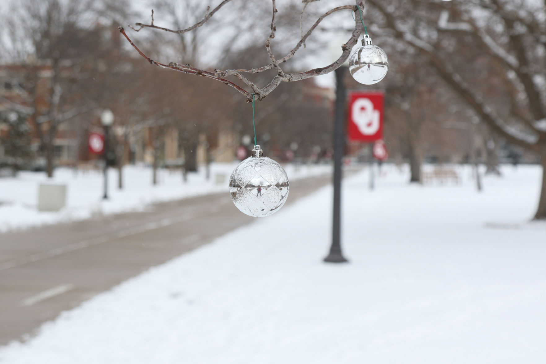 OU Snow